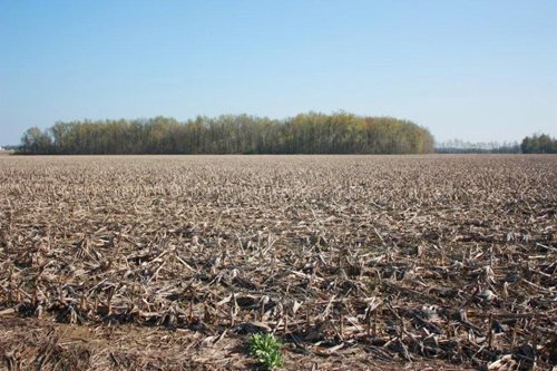 Property photo 9 - 641 Acres Offered in 16 Tracts - 545 Cropland Acres